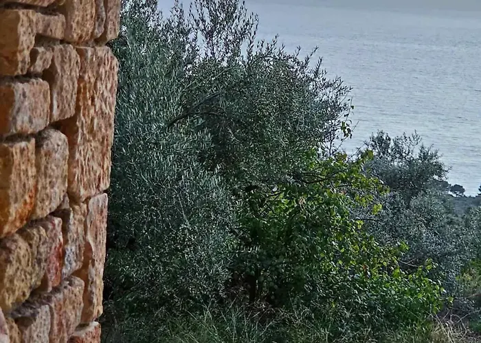 Achilles * קרדמילי