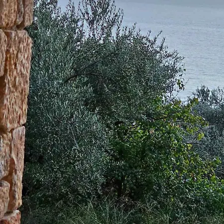 Achilles * Kardamyli