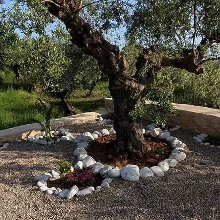 Casa vacanze Achilles Kardhamili